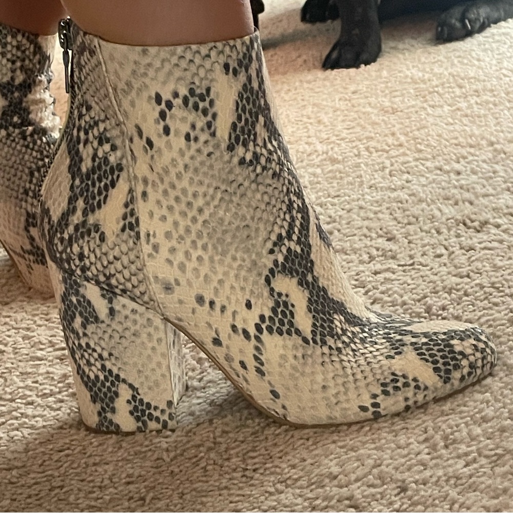 Steve Madden snakeskin booties